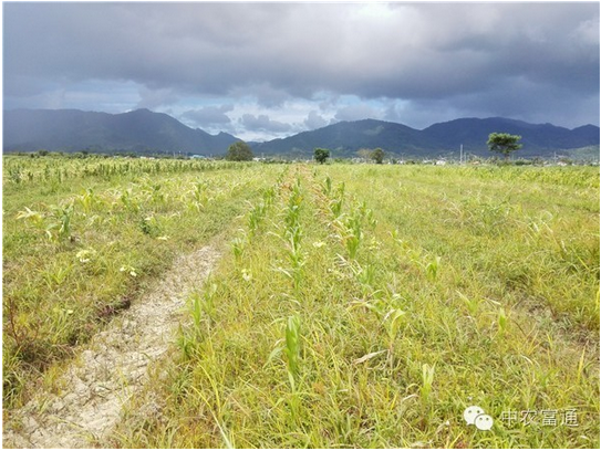 1467369552121470.png blob.png