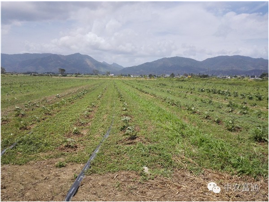 1467369541924796.png blob.png