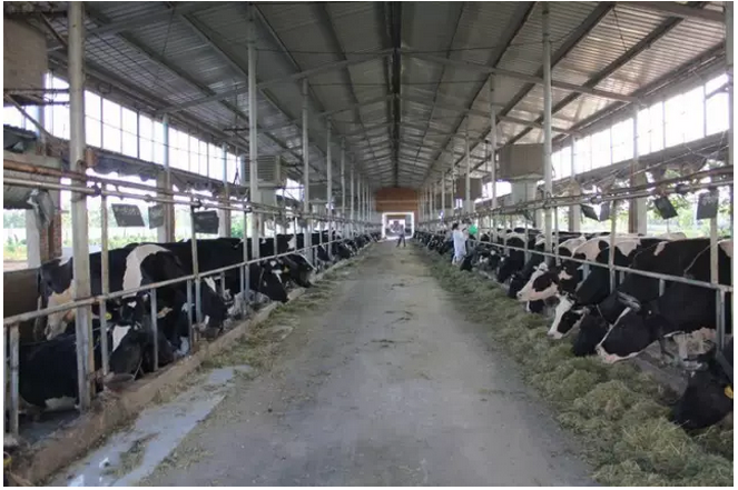 1477991330701116.png blob.png