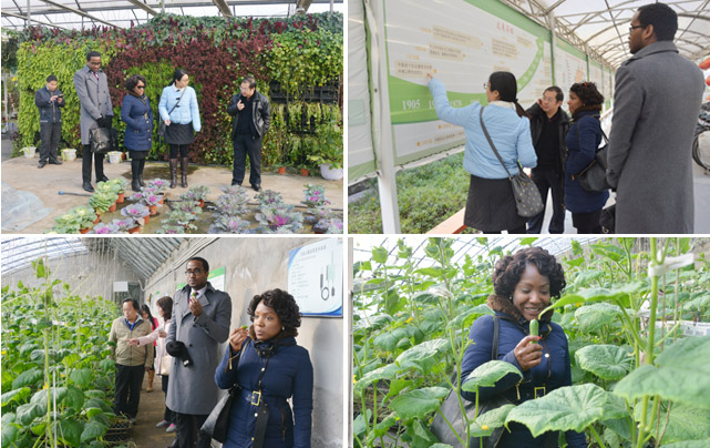 1478669765897384.png blob.png