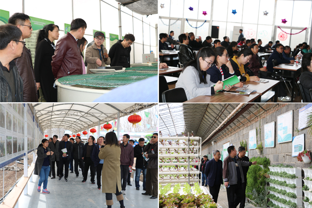 浙江鄉(xiāng)村旅游規(guī)劃