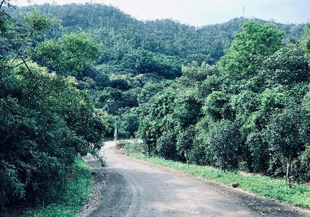 1563417591439225.jpg QQ截圖20190718103746.jpg