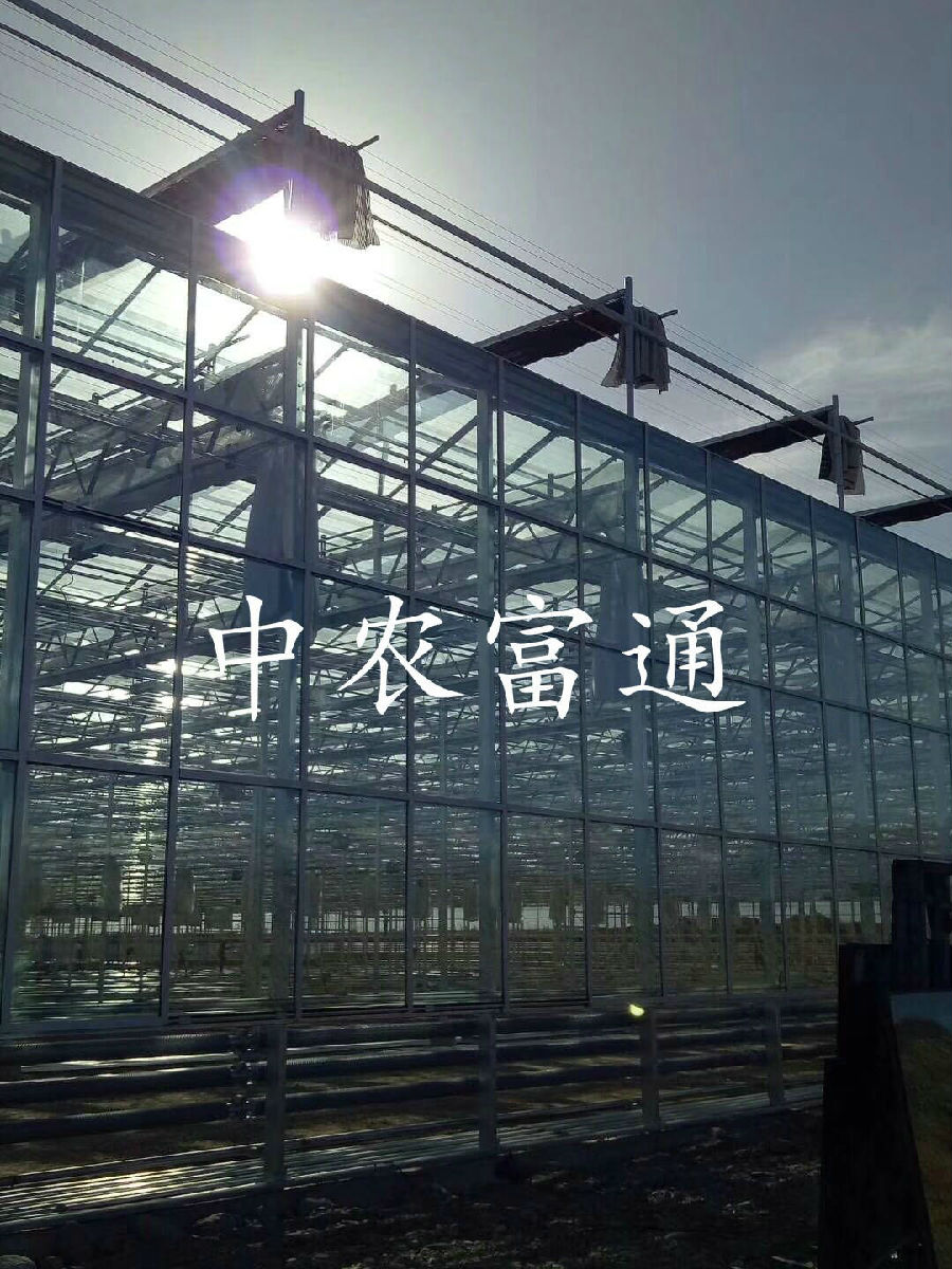 【邀請函】未來已來 中荷都市供給和綠色發展趨勢探秘(圖13) 【邀請函】未來已來 中荷都市供給和綠色發展趨勢探秘(圖13)