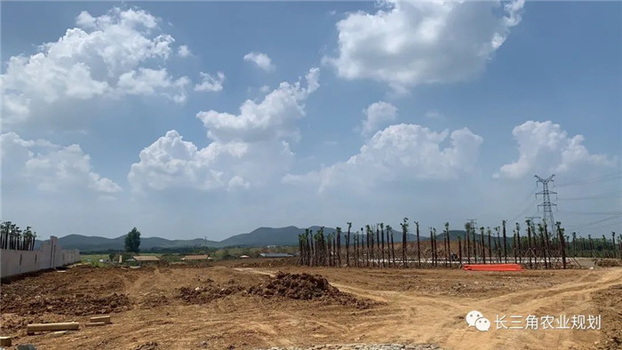 為了幫助園區的提檔升級,南京市農業農村局特委托中農富通編制《南京市農業園區發展研究報告》,以期從產業發展路徑、園區發展模式、保障措施等多維度為南京市農業園區未來三年的發展做統籌謀劃。 8月19日,中農(圖11) 為了幫助園區的提檔升級,南京市農業農村局特委托中農富通編制《南京市農業園區發展研究報告》,以期從產業發展路徑、園區發展模式、保障措施等多維度為南京市農業園區未來三年的發展做統籌謀劃。 8月19日,中農(圖11)