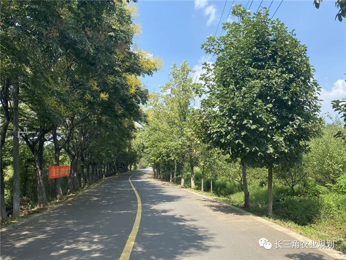 為了幫助園區的提檔升級,南京市農業農村局特委托中農富通編制《南京市農業園區發展研究報告》,以期從產業發展路徑、園區發展模式、保障措施等多維度為南京市農業園區未來三年的發展做統籌謀劃。 8月19日,中農(圖8) 為了幫助園區的提檔升級,南京市農業農村局特委托中農富通編制《南京市農業園區發展研究報告》,以期從產業發展路徑、園區發展模式、保障措施等多維度為南京市農業園區未來三年的發展做統籌謀劃。 8月19日,中農(圖8)