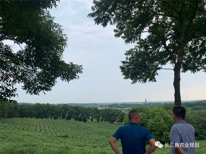 9月1日,中農(nóng)富通團(tuán)隊(duì)開啟了高淳區(qū)域內(nèi)現(xiàn)代農(nóng)業(yè)示范園的調(diào)研工作,此次高淳區(qū)農(nóng)業(yè)園區(qū)調(diào)研由中農(nóng)富通長三角農(nóng)業(yè)規(guī)劃科學(xué)研究所所長薛欣艷與中國農(nóng)業(yè)大學(xué)規(guī)劃研究所園區(qū)規(guī)劃部分管總工趙嬋璞帶隊(duì)。(圖13) 9月1日,中農(nóng)富通團(tuán)隊(duì)開啟了高淳區(qū)域內(nèi)現(xiàn)代農(nóng)業(yè)示范園的調(diào)研工作,此次高淳區(qū)農(nóng)業(yè)園區(qū)調(diào)研由中農(nóng)富通長三角農(nóng)業(yè)規(guī)劃科學(xué)研究所所長薛欣艷與中國農(nóng)業(yè)大學(xué)規(guī)劃研究所園區(qū)規(guī)劃部分管總工趙嬋璞帶隊(duì)。(圖13)