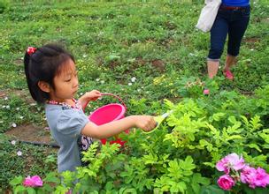 u=56952111,2630091863&fm=21&gp=0 (2).jpg