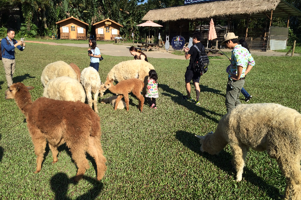 undefined 770667eba4bcb32974507e19ace3a24a_size673_w600_h400.JPG