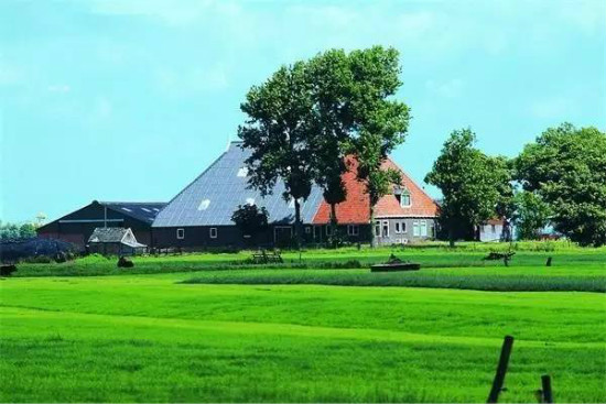 undefined 93117d6f58df47d4b2996ad67d654db9_th.jpg