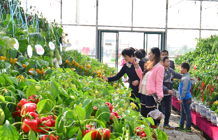 和縣首屆農(nóng)業(yè)嘉年華(圖2) hexianjianianhua (5).jpg