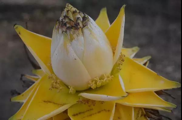 浙江鄉(xiāng)村旅游規(guī)劃 圖1.jpg