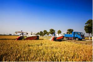 浙江田園綜合體規劃 微信1.jpg