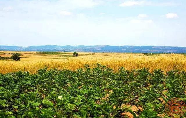 浙江生態農業規劃 微信圖片1.jpg