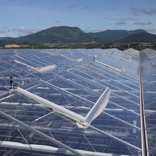 南和現代設施農業產業集群(圖7) 南和現代設施農業產業集群(圖7)