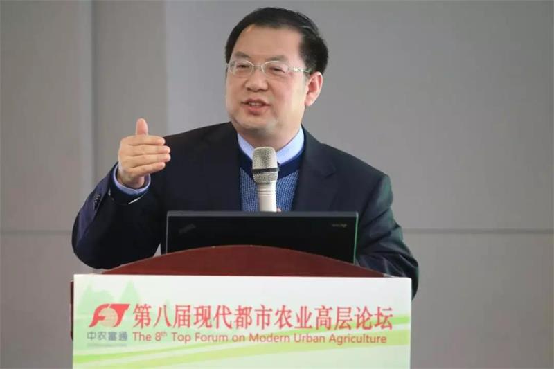 浙江田園綜合體規劃 6(1).jpg