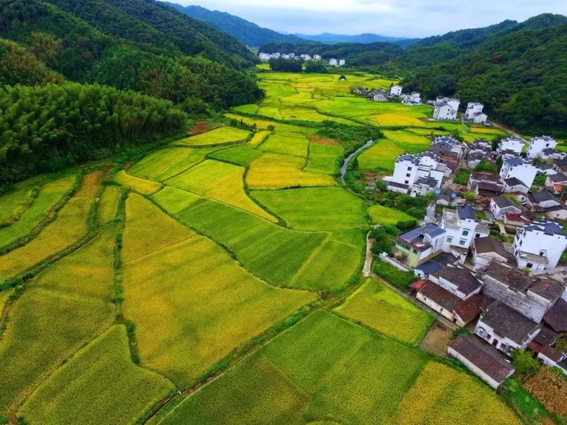 浙江田園綜合體規劃 640.jpg