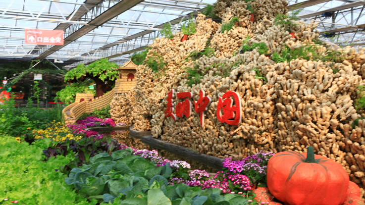 北京農(nóng)業(yè)嘉年華(圖4) 6.jpg