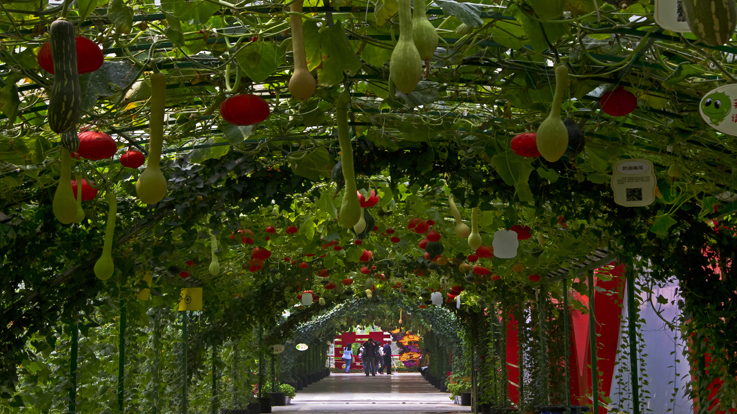 北京農(nóng)業(yè)嘉年華(圖6) 0130145615.jpg