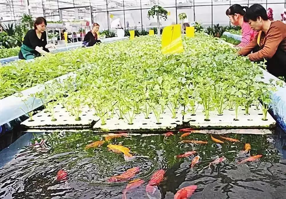 undefined 微信圖片_20181019085439.jpg