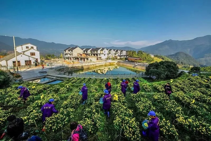 【看“浙”有你家鄉(xiāng)嗎?】第一批部省共建鄉(xiāng)村振興示范省先行創(chuàng)建單位名單“出爐”!(圖1) 640.webp (1).jpg