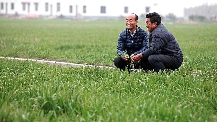 重磅發布!農業農村部推介第一批26個家庭農場(附名單)(圖4) 4.jpg