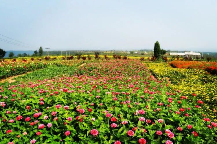 以河南甘山果香田園綜合體項目為例探索三產融合發展模式(圖4) 微信圖片_20200522095755.jpg