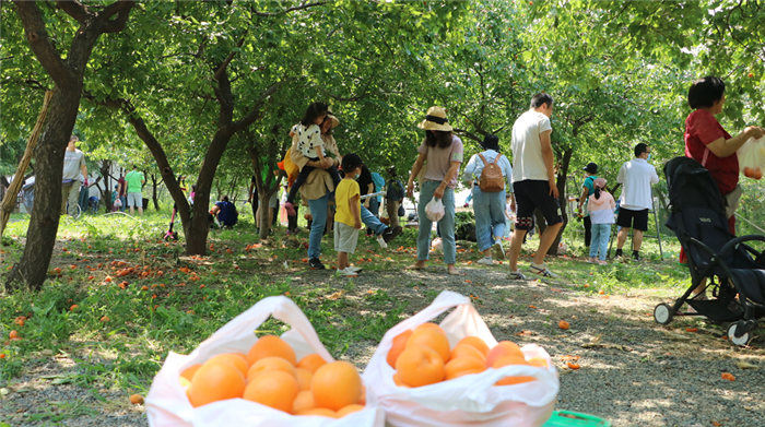 2020年第23周 || 中農富通要聞一覽(圖38) 2020年第23周 || 中農富通要聞一覽(圖38)