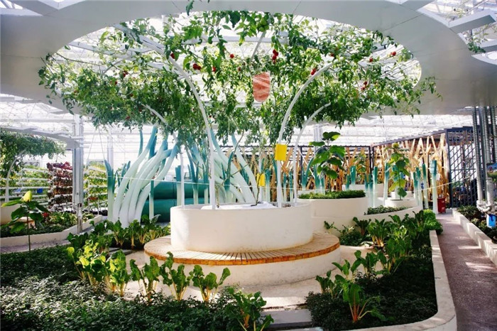 2020年第23周 || 中農富通要聞一覽(圖54) 2020年第23周 || 中農富通要聞一覽(圖54)