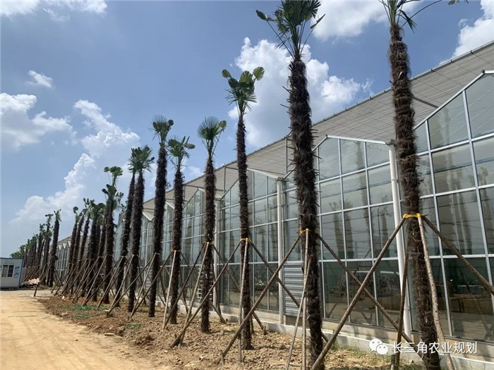 為了幫助園區的提檔升級,南京市農業農村局特委托中農富通編制《南京市農業園區發展研究報告》,以期從產業發展路徑、園區發展模式、保障措施等多維度為南京市農業園區未來三年的發展做統籌謀劃。 8月19日,中農(圖10) 為了幫助園區的提檔升級,南京市農業農村局特委托中農富通編制《南京市農業園區發展研究報告》,以期從產業發展路徑、園區發展模式、保障措施等多維度為南京市農業園區未來三年的發展做統籌謀劃。 8月19日,中農(圖10)