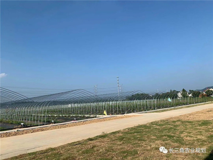 為了幫助園區的提檔升級,南京市農業農村局特委托中農富通編制《南京市農業園區發展研究報告》,以期從產業發展路徑、園區發展模式、保障措施等多維度為南京市農業園區未來三年的發展做統籌謀劃。 8月19日,中農(圖21) 為了幫助園區的提檔升級,南京市農業農村局特委托中農富通編制《南京市農業園區發展研究報告》,以期從產業發展路徑、園區發展模式、保障措施等多維度為南京市農業園區未來三年的發展做統籌謀劃。 8月19日,中農(圖21)