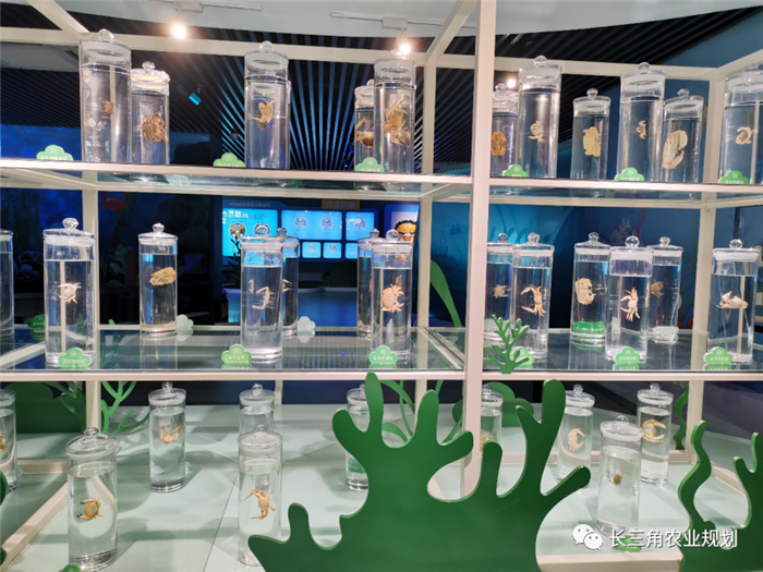 9月1日,中農(nóng)富通團(tuán)隊(duì)開啟了高淳區(qū)域內(nèi)現(xiàn)代農(nóng)業(yè)示范園的調(diào)研工作,此次高淳區(qū)農(nóng)業(yè)園區(qū)調(diào)研由中農(nóng)富通長三角農(nóng)業(yè)規(guī)劃科學(xué)研究所所長薛欣艷與中國農(nóng)業(yè)大學(xué)規(guī)劃研究所園區(qū)規(guī)劃部分管總工趙嬋璞帶隊(duì)。(圖5) 9月1日,中農(nóng)富通團(tuán)隊(duì)開啟了高淳區(qū)域內(nèi)現(xiàn)代農(nóng)業(yè)示范園的調(diào)研工作,此次高淳區(qū)農(nóng)業(yè)園區(qū)調(diào)研由中農(nóng)富通長三角農(nóng)業(yè)規(guī)劃科學(xué)研究所所長薛欣艷與中國農(nóng)業(yè)大學(xué)規(guī)劃研究所園區(qū)規(guī)劃部分管總工趙嬋璞帶隊(duì)。(圖5)