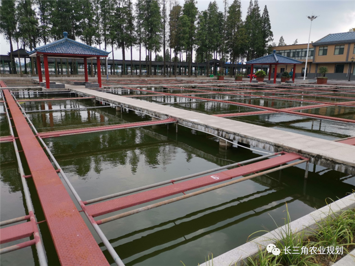 9月1日,中農(nóng)富通團(tuán)隊(duì)開啟了高淳區(qū)域內(nèi)現(xiàn)代農(nóng)業(yè)示范園的調(diào)研工作,此次高淳區(qū)農(nóng)業(yè)園區(qū)調(diào)研由中農(nóng)富通長三角農(nóng)業(yè)規(guī)劃科學(xué)研究所所長薛欣艷與中國農(nóng)業(yè)大學(xué)規(guī)劃研究所園區(qū)規(guī)劃部分管總工趙嬋璞帶隊(duì)。(圖7) 9月1日,中農(nóng)富通團(tuán)隊(duì)開啟了高淳區(qū)域內(nèi)現(xiàn)代農(nóng)業(yè)示范園的調(diào)研工作,此次高淳區(qū)農(nóng)業(yè)園區(qū)調(diào)研由中農(nóng)富通長三角農(nóng)業(yè)規(guī)劃科學(xué)研究所所長薛欣艷與中國農(nóng)業(yè)大學(xué)規(guī)劃研究所園區(qū)規(guī)劃部分管總工趙嬋璞帶隊(duì)。(圖7)