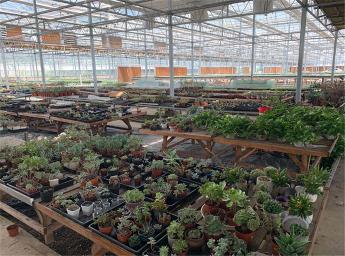 9月3日,中農(nóng)富通調(diào)研組兵分兩路對(duì)南京高淳區(qū)武家嘴現(xiàn)代農(nóng)業(yè)產(chǎn)業(yè)示范園區(qū)和棲霞區(qū)龍?zhí)冬F(xiàn)代農(nóng)業(yè)產(chǎn)業(yè)示范園區(qū)的調(diào)研工作。(圖23) 微信圖片_20200908160220.png