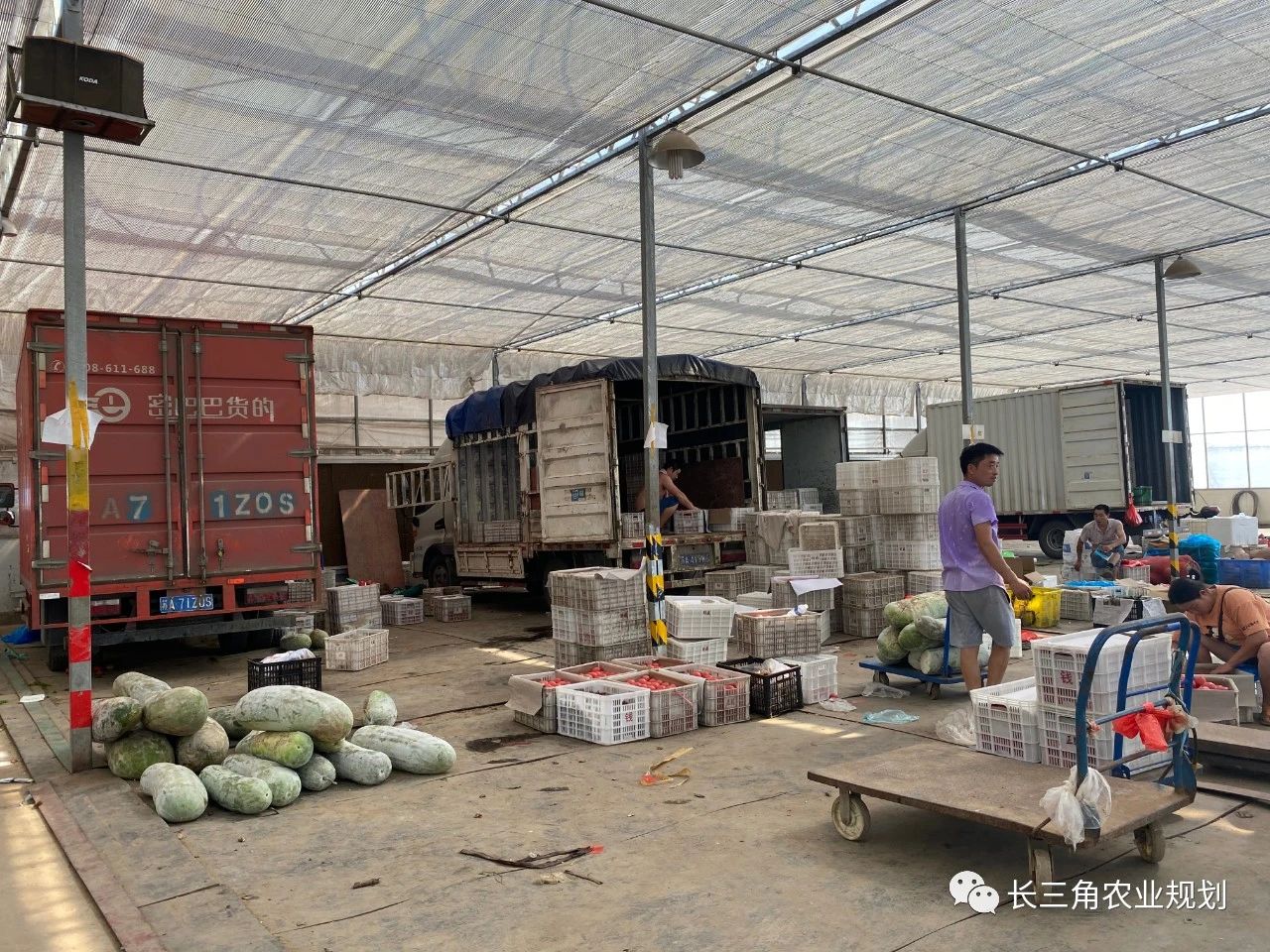 【南京現代農業園區案例剖析】谷里現代農業示范區——在特色集聚中發展現代農業(圖3) 微信圖片_20200909165549.jpg