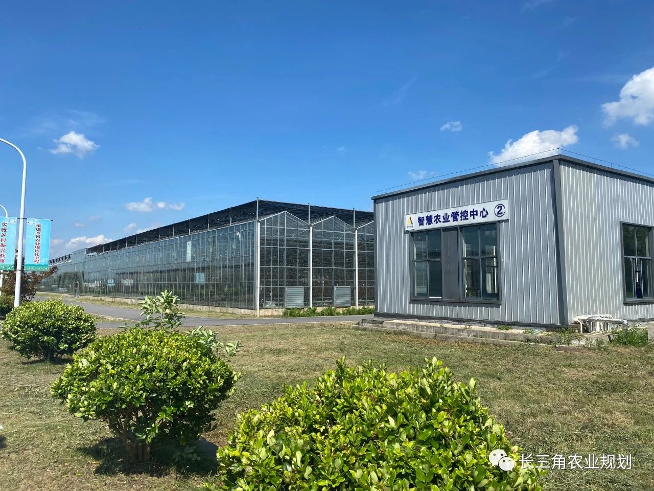 【南京現代農業園區案例剖析】谷里現代農業示范區——在特色集聚中發展現代農業(圖4) 微信圖片_20200909165550.jpg