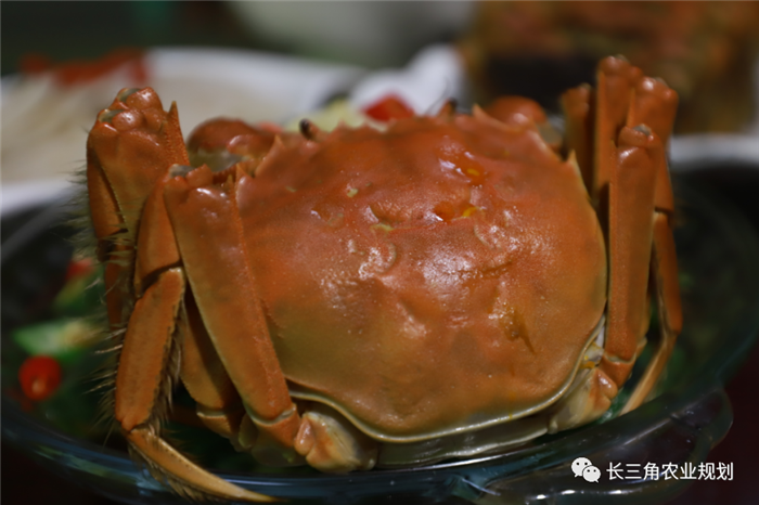 10月16日,與中農(nóng)富通長三角規(guī)劃所相約2020年合肥農(nóng)交會!(圖9) 微信圖片_20201015152803.png