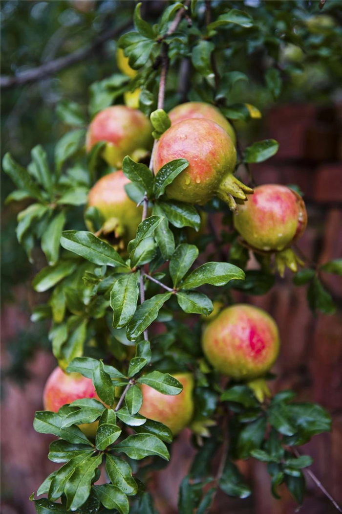 10月16日,與中農(nóng)富通長三角規(guī)劃所相約2020年合肥農(nóng)交會!(圖10) 微信圖片_20201015152804.png