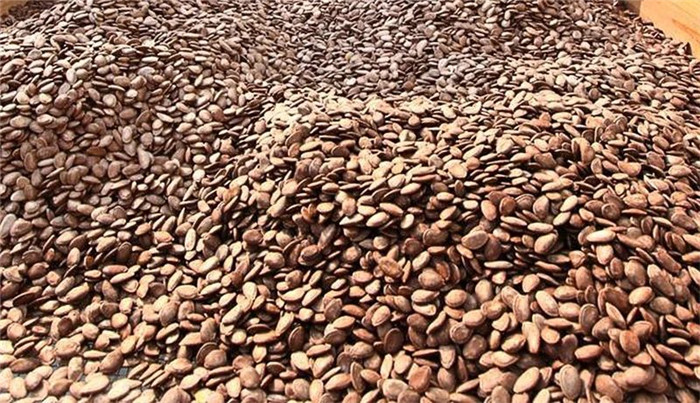 10月16日,與中農(nóng)富通長三角規(guī)劃所相約2020年合肥農(nóng)交會!(圖11) 微信圖片_20201015152805.jpg