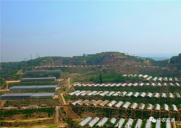 重磅!歷史性的一刻!我國832個國家級貧困縣全部脫貧摘帽(圖4) 重磅!歷史性的一刻!我國832個國家級貧困縣全部脫貧摘帽(圖4)