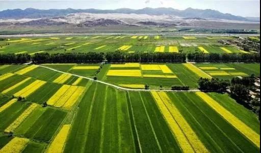 最高獎補8000萬!建設(shè)一批鄉(xiāng)村振興集成創(chuàng)新示范縣(圖6) 最高獎補8000萬!建設(shè)一批鄉(xiāng)村振興集成創(chuàng)新示范縣(圖6)