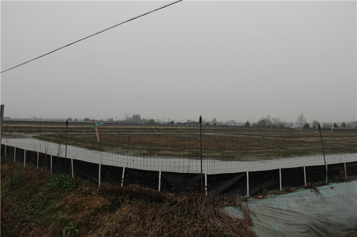 《灣沚區花橋鎮十四五現代農業發展規劃》初期調研工作順利完成!(圖4) 《灣沚區花橋鎮十四五現代農業發展規劃》初期調研工作順利完成!(圖4)