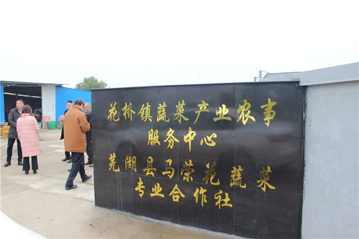 《灣沚區花橋鎮十四五現代農業發展規劃》初期調研工作順利完成!(圖6) 《灣沚區花橋鎮十四五現代農業發展規劃》初期調研工作順利完成!(圖6)