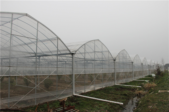 《灣沚區花橋鎮十四五現代農業發展規劃》初期調研工作順利完成!(圖13) 《灣沚區花橋鎮十四五現代農業發展規劃》初期調研工作順利完成!(圖13)