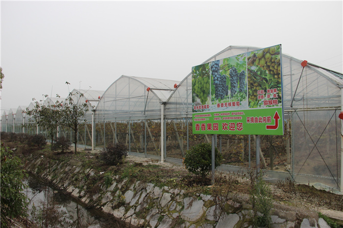 《灣沚區花橋鎮十四五現代農業發展規劃》初期調研工作順利完成!(圖14) 《灣沚區花橋鎮十四五現代農業發展規劃》初期調研工作順利完成!(圖14)